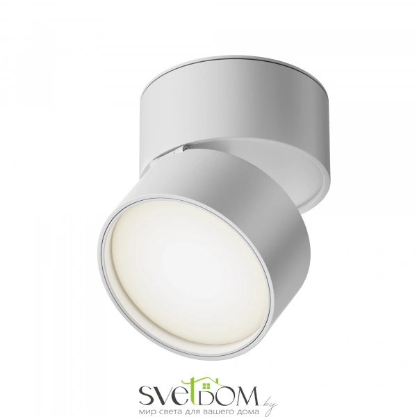 Потолочный светильник Technical C024CL-L12W4K