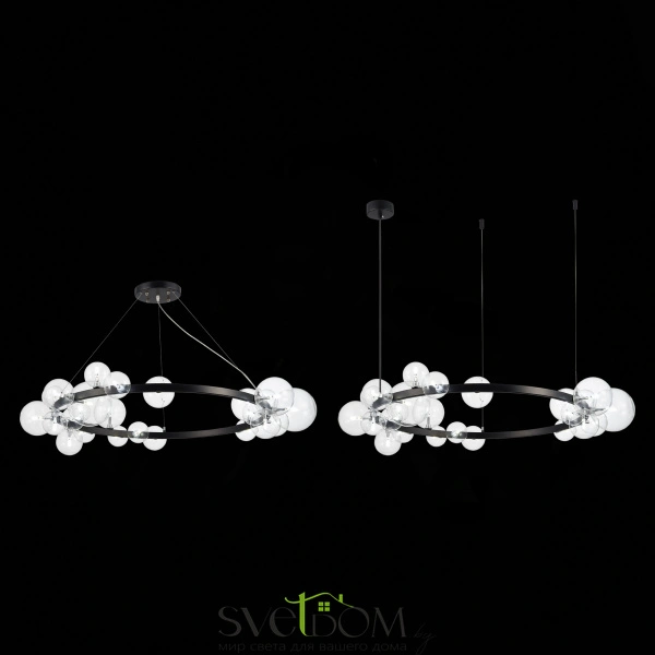 SL1165.403.24 Светильник подвесной ST-Luce Черный/Прозрачный G4 24*5W NECTON