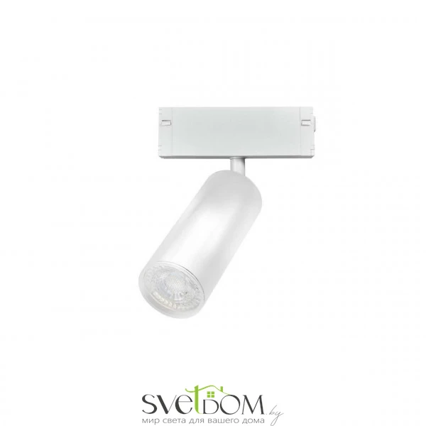Светильник трековый Aployt  APL.0209.11.01