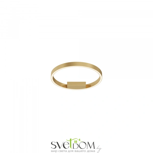 Потолочный светильник Maytoni MOD058CL-L25BSK