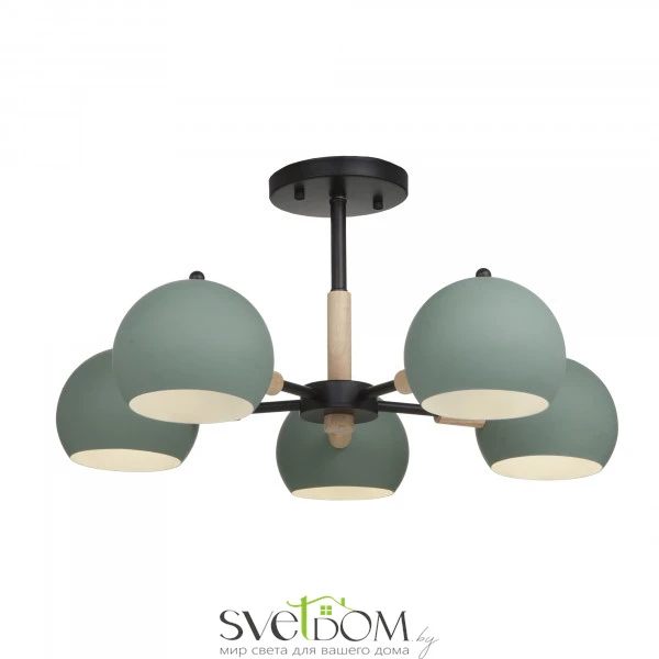 Потолочный светильник Freya FR5032CL-05B