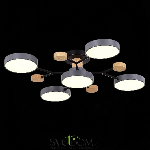 SLE6006-702-05 Светильник потолочный Серый/Серый LED 5*12W 3000K/4500K/6000K FAEMA