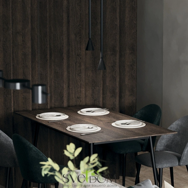 Подвесной светильник Technical P064PL-01B