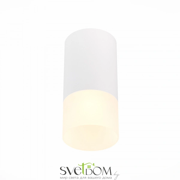 ST100.512.01 Светильник потолочный Белый GU10 1*50W IP20 D64xH131 220V Без ламп Накладные светильники