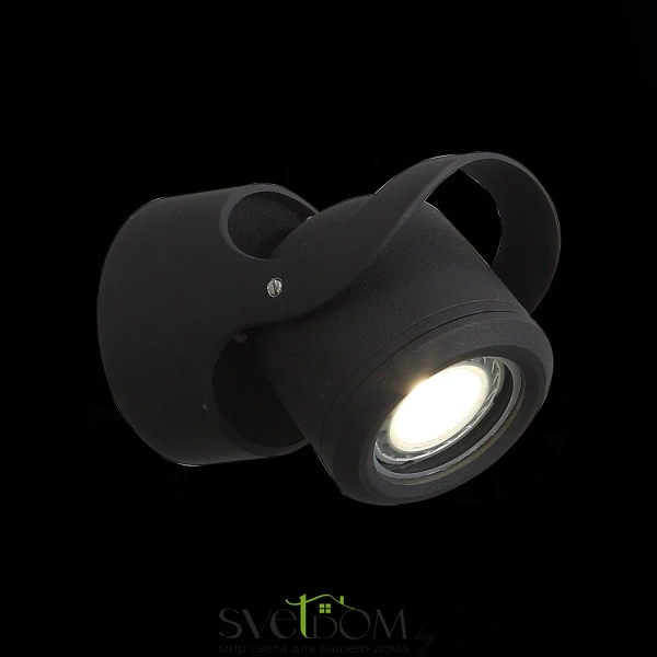 SL093.401.01 Светильник уличный настенный ST-Luce Черный/Черный, Прозрачный G5,3 1*3W ROUND