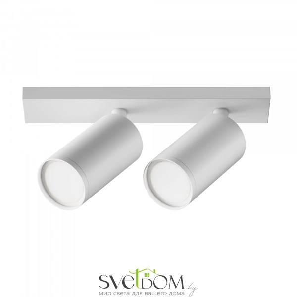 Потолочный светильник Technical C051CL-U-2W