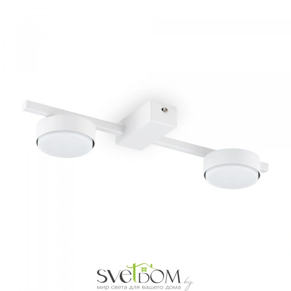 Потолочный светильник Freya FR5363CL-02W