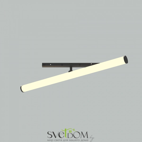 Трековый светильник TR086-2-25W3K-B