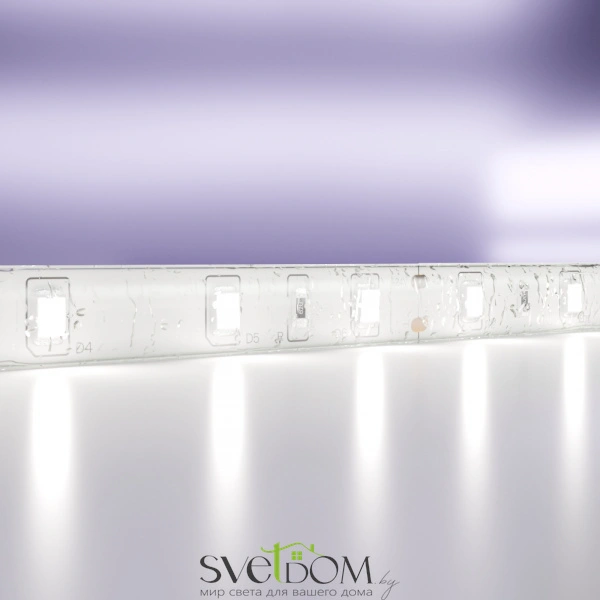 Светодиодная лента 24В 2835 4,8Вт/м 6000K 5м IP65 10141