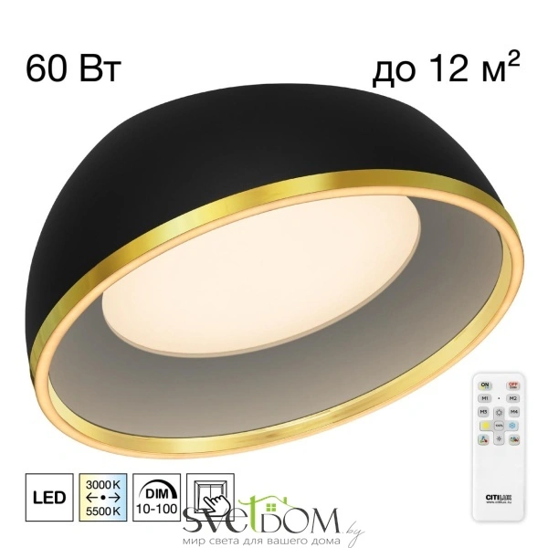 CITILUX CL736151 FLOOM Черный+Золото Светильник Потолочный