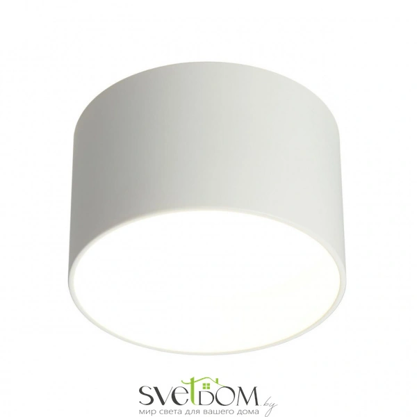 Накладные светильники Omnilux OML-100409-16 от Магазина Svetdom.by