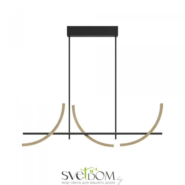 Подвесной светильник Maytoni MOD428PL-L20BK