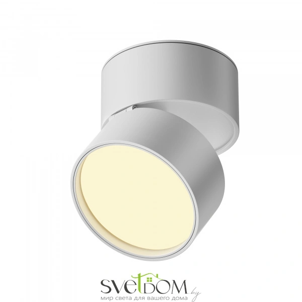 Потолочный светильник Technical C024CL-12W2.7K-W-1