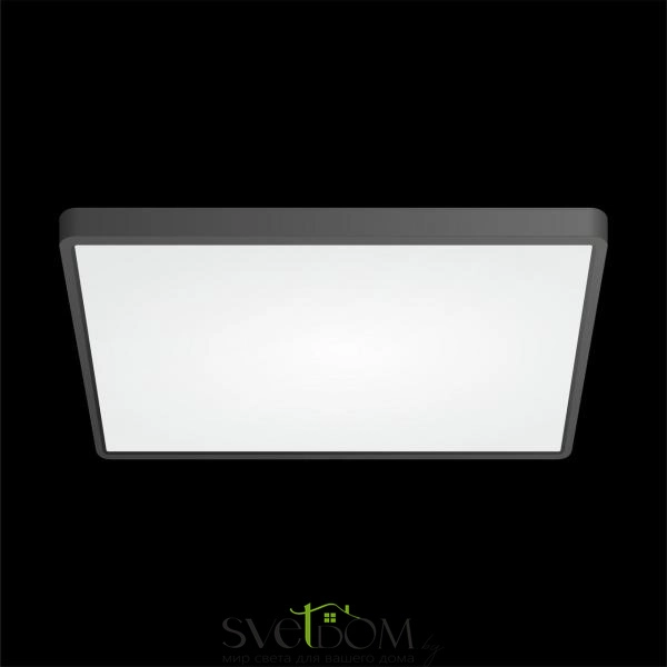 Citilux Бейсик CL738K501V Светильник накладной Чёрный