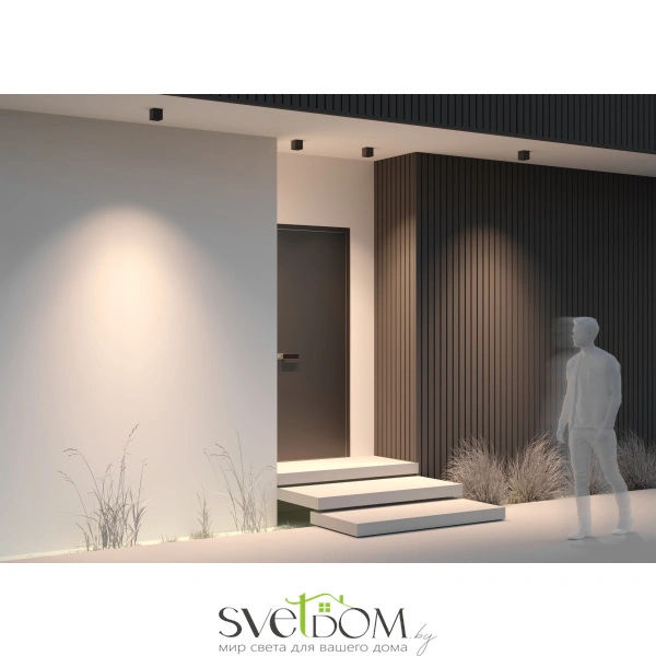 Потолочный светильник Outdoor O309CL-L8GF3K