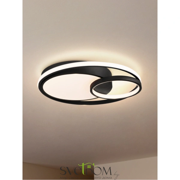 Потолочный светильник Freya FR10028CL-L80B