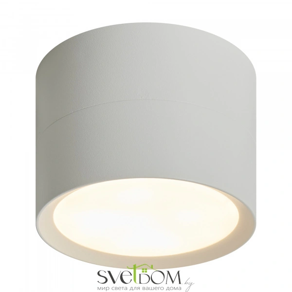 Потолочный светильник NUVOLT LDL-006W