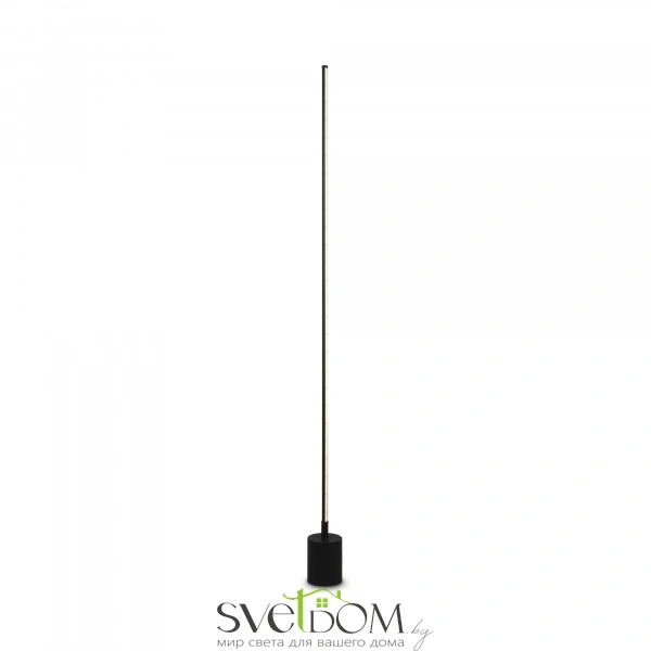 Напольный светильник (торшер) Maytoni MOD147FL-L20BK1