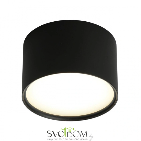 Накладные светильники Omnilux OML-100919-06 от Магазина Svetdom.by