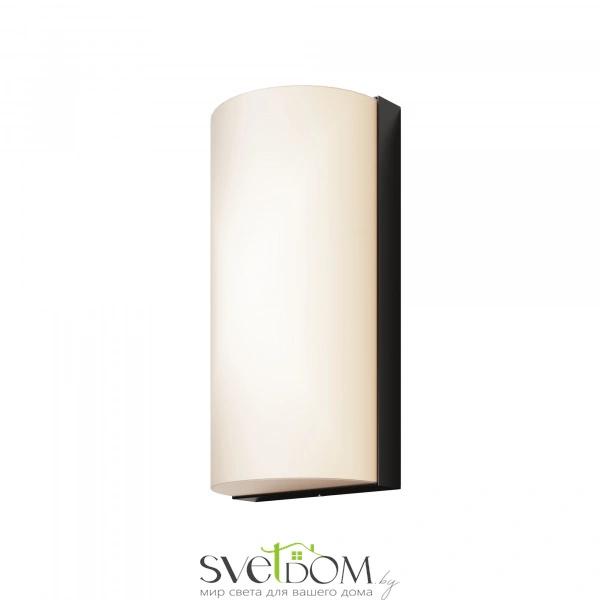 Настенный светильник (бра) Outdoor O454WL-L10GF3K1