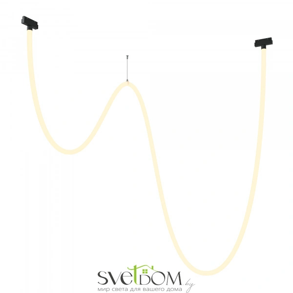 Трековый подвесной светильник TR101-2-100W3K-B