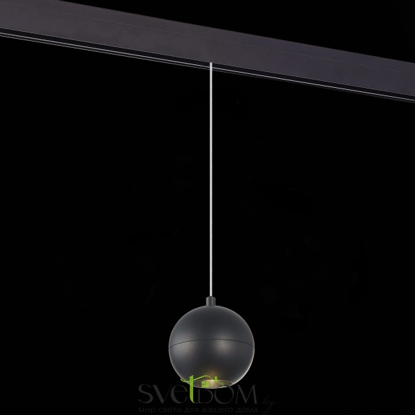 ST354.443.12 Магнитный трековый светильник подвесной Черный LED 1*12W 4000K 750Lm Ra>80 36° IP20 D10 SKYLINE 48