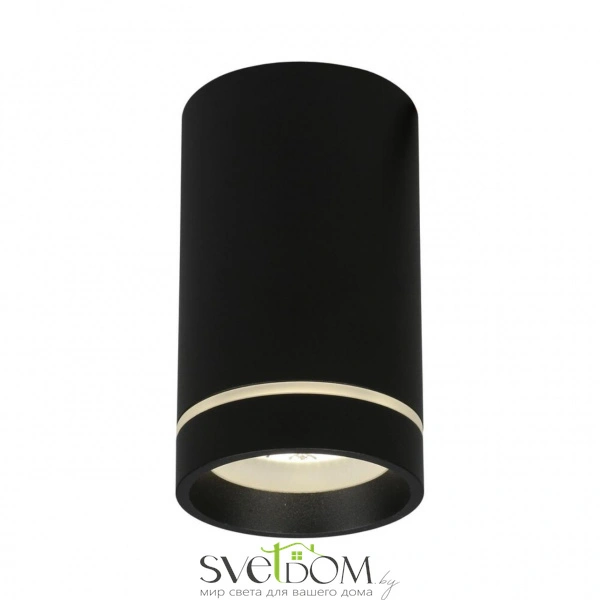 Накладные светильники Aployt APL.0054.19.10 от Магазина Svetdom.by