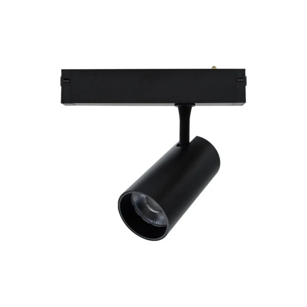 Светильник трековый Aployt  APL.0205.20.20