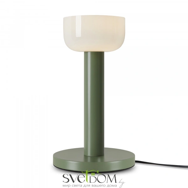 Настольный светильник Freya FR6185TL-L5GN