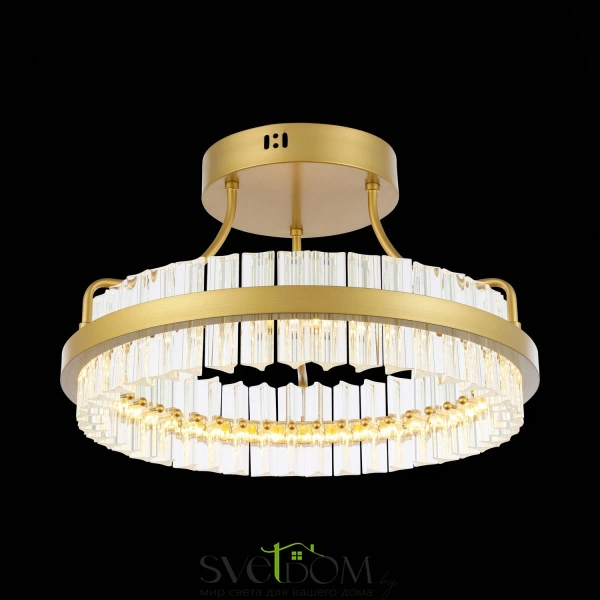 SL383.202.01 Светильник потолочный ST-Luce Матовое золото/Прозрачный LED 1*34W 3000K CHERIO