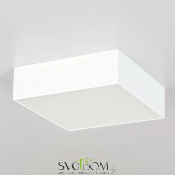 Citilux Тао CL712X120N LED Светильник потолочный с диммером Белый