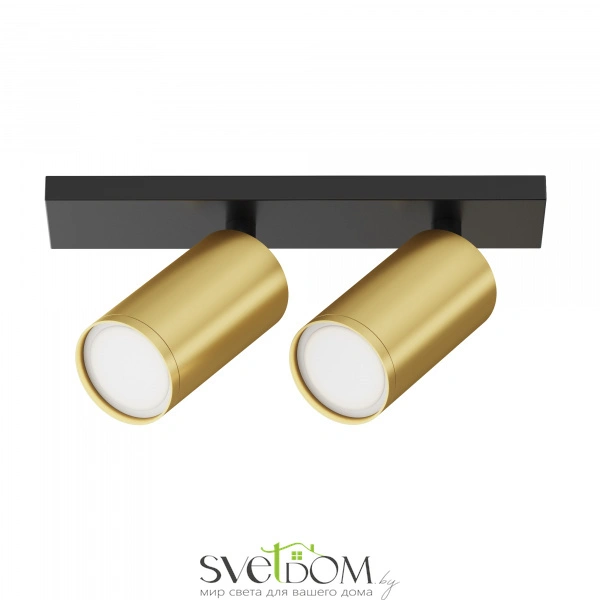 Потолочный светильник Technical C051CL-U-02BMG