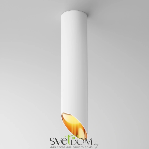 Потолочные светильники Maytoni C044CL-01-30GU10-W от Магазина Svetdom.by