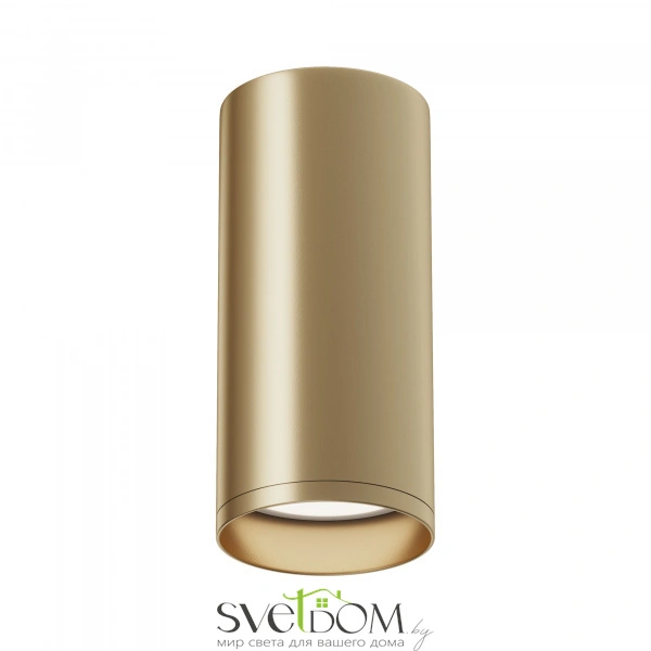 Потолочный светильник Technical C010CL-01MG