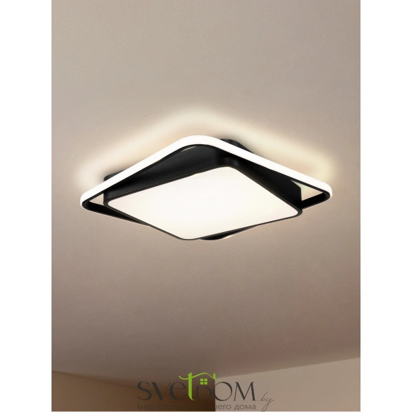 Потолочный светильник Freya FR10030CL-L88B