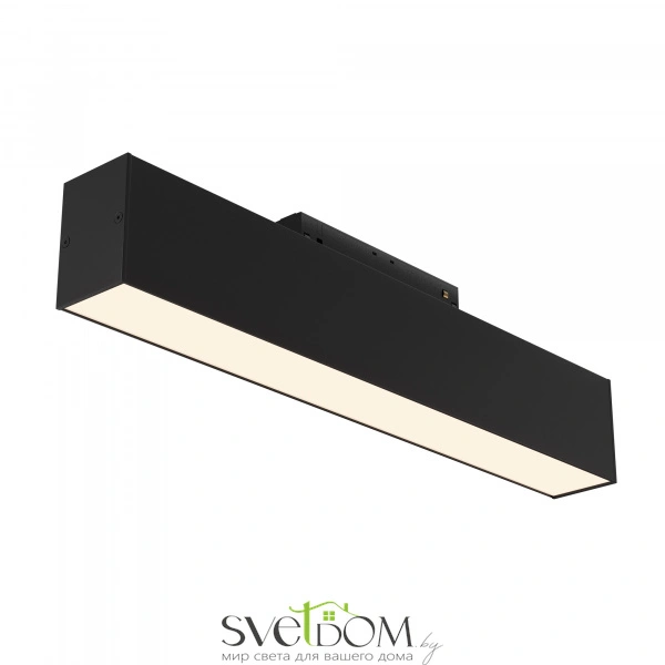 Трековый светильник Technical TR012-2-12W3K-B