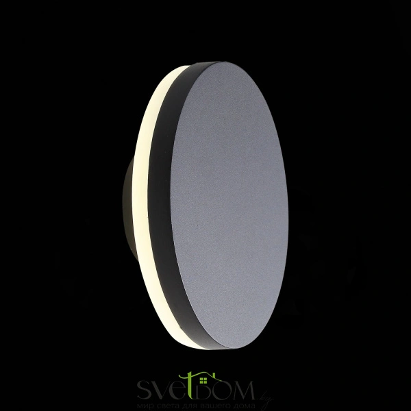 SL087.401.01 Светильник уличный настенный ST-Luce Черный кварцевый LED 1*12W 4000K CONTARIO