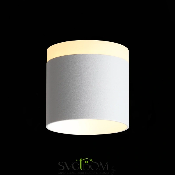 ST102.502.09 Светильник потолочный Белый LED 1*9W 3000K 702Lm Ra>80 120° IP20 D79xH75 170-240V Накладные светильники