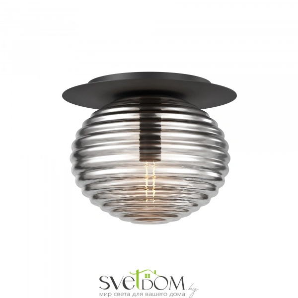 Потолочный светильник Maytoni MOD268CL-01B