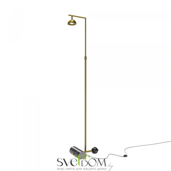 Напольный светильник (торшер) Maytoni MOD372FL-L10BS3K