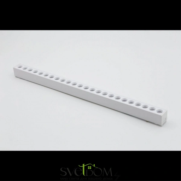 Светильник трековый Aployt  APL.0100.11.24