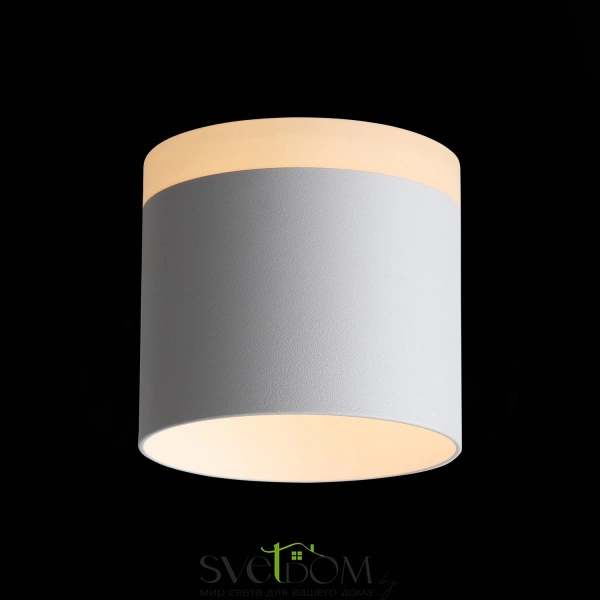 ST102.502.12 Светильник потолочный Белый LED 1*12W 3000K 936Lm Ra>80 120° IP20 D100xH90 170-240V Накладные светильники
