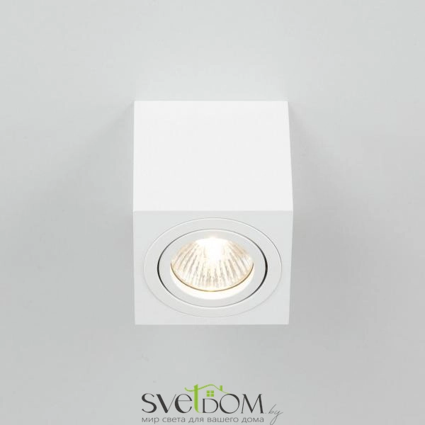 Citilux Дюрен CL538211 Светильник накладной поворотный Белый
