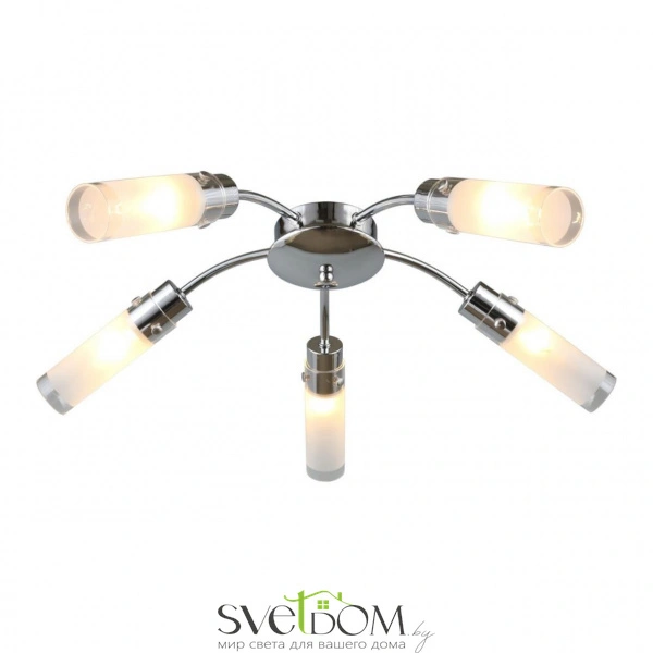 Люстры потолочныеOML-28707-05 Omnilux | Svetdom.by