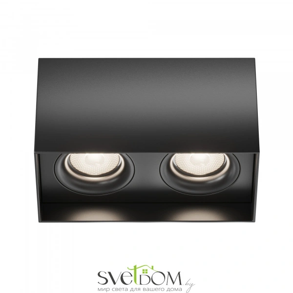 Потолочный светильник Technical C015CL-02B