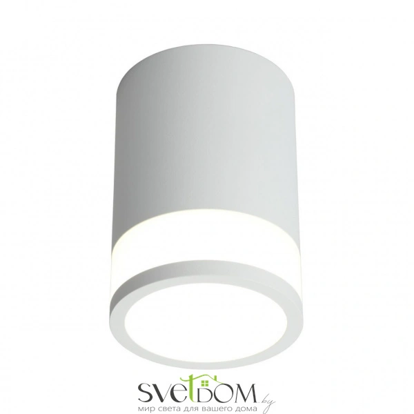 Накладные светильники Omnilux OML-101509-12 от Магазина Svetdom.by