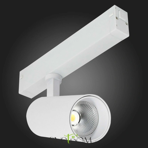 Встраиваемые светильники ST LUCE ST660.596.20 от Магазина Svetdom.by