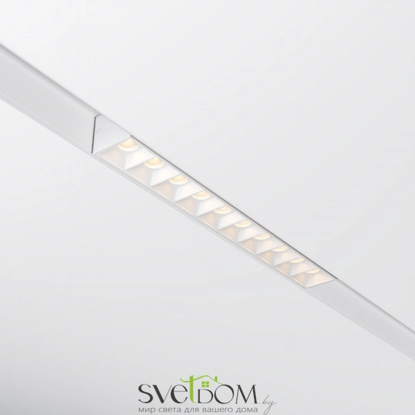 Трековый светильник TR076-2-20W3K-W