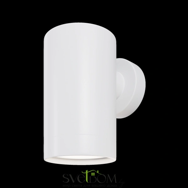 Настенный светильник (бра) Outdoor O493WL-01W