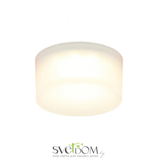 Накладные светильники Aployt APL.0034.09.05 от Магазина Svetdom.by